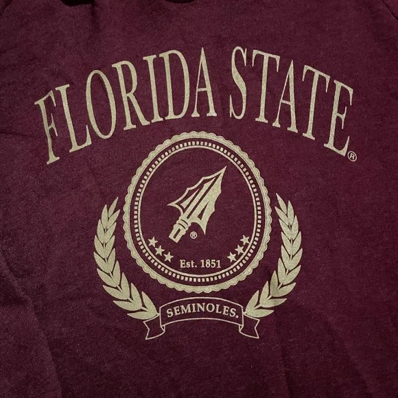 Women’s Florida State University Seminoles Cropped Hoodie size medium - Picture 2 of 4